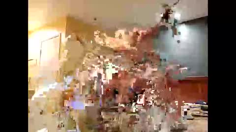 randyrichard_25 online show from April 14, 11:10 am