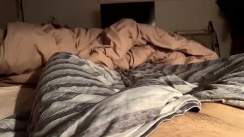 Snapshot of randysavage9 chatting on December 18, 4:53 am FreeC2C online show from December 18, 4:53 am