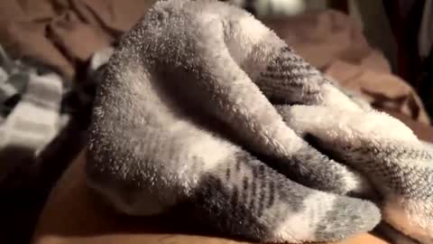 Snapshot of randysavage9 chatting on September 27, 7:17 am FreeC2C online show from September 27, 7:17 am