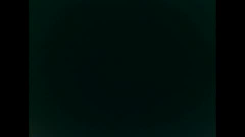 Rasbear online show from January 22, 9:00 pm