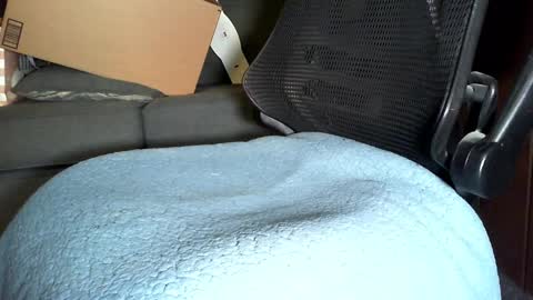 Snapshot of re_dick chatting on December 28, 3:47 am re dick online show from December 28, 3:47 am