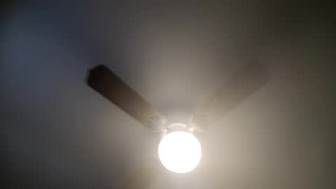 red24devils online show from February 4, 3:57 pm