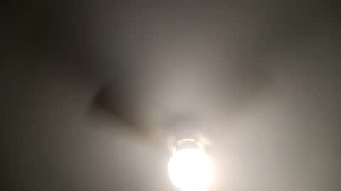 red24devils online show from January 23, 7:32 am