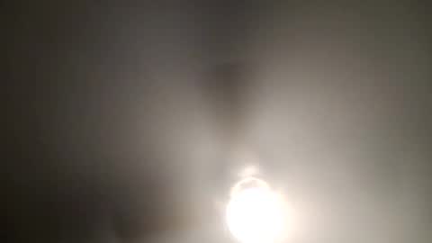 red24devils online show from January 14, 6:56 am