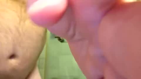 red24devils online show from September 12, 11:32 am