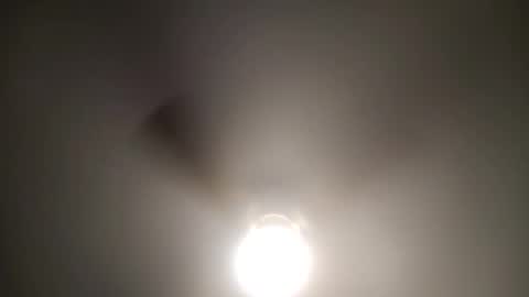 red24devils online show from January 2, 4:13 pm