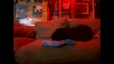 Snapshot of reeferleefer chatting on October 15, 3:36 am Lee online show from October 15, 3:36 am