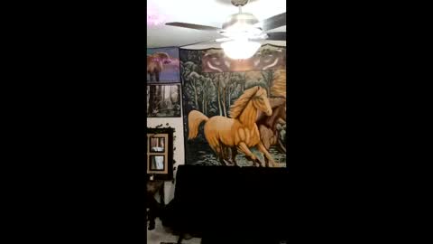 revbmc794 online show from May 2, 2:20 pm