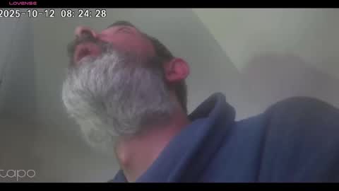 reza240782 online show from October 12, 7:24 am