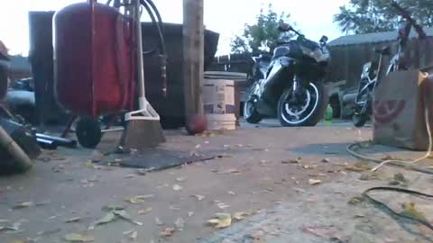 Rich online show from October 4, 12:59 am