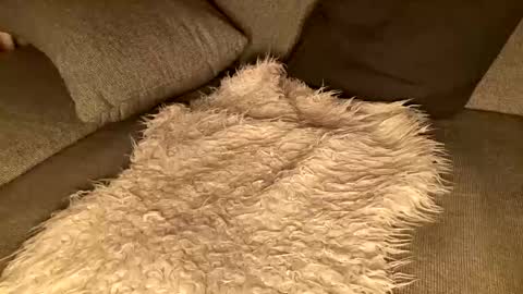 Richiiix online show from December 20, 10:32 pm