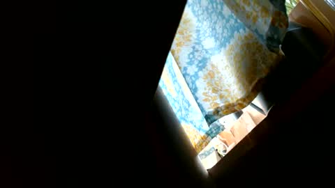 Snapshot of riskyjizznessss chatting on December 31, 4:46 pm riskyjizznessss online show from December 31, 4:46 pm