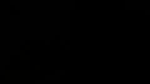 BwC4Breed online show from January 31, 9:59 am