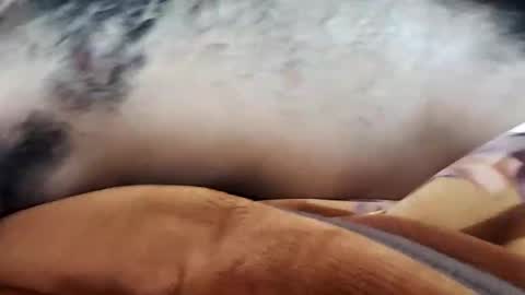 rockyp2025 online show from February 27, 10:04 am