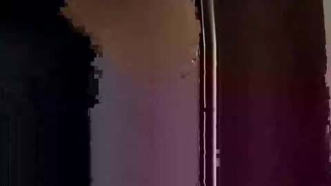   online show from November 7, 12:19 pm