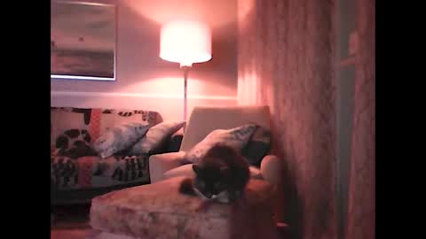 ronvlv online show from October 5, 3:54 am