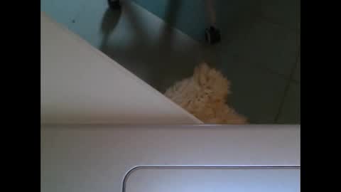 rorat28 online show from February 28, 9:04 am