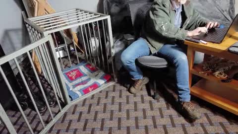 RoughnBootz online show from February 6, 11:37 pm