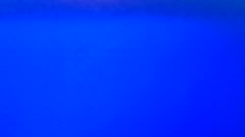 rthammy72 online show from October 16, 12:24 pm