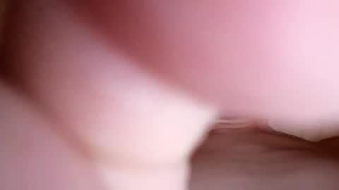 rts533598 online show from November 1, 7:34 am