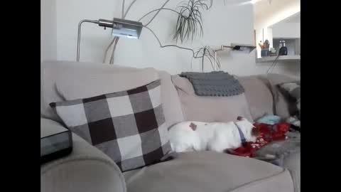 Rusty online show from March 6, 4:07 pm