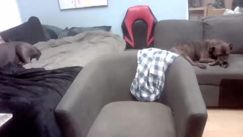 Snapshot of ryanteedaddy chatting on November 1, 10:52 am Ryan Tee online show from November 1, 10:52 am