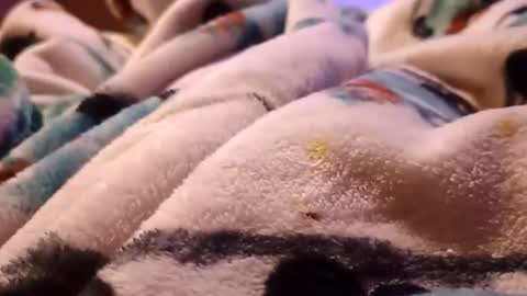 sam44444446 online show from November 27, 9:24 am