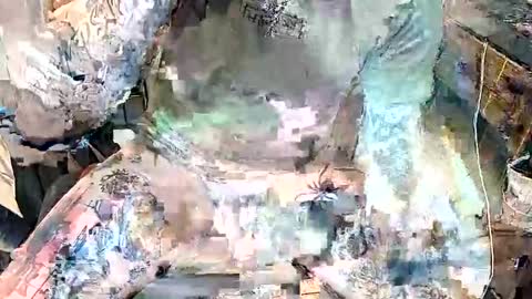 samboiamtho online show from February 3, 5:05 am