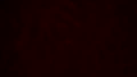 samueltal online show from February 10, 12:26 am