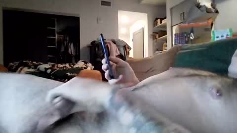 scharles1992 online show from December 23, 6:55 am