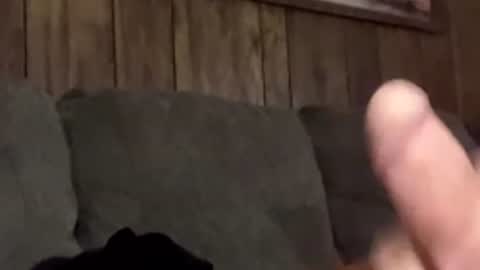 scottpolars online show from April 19, 4:17 pm