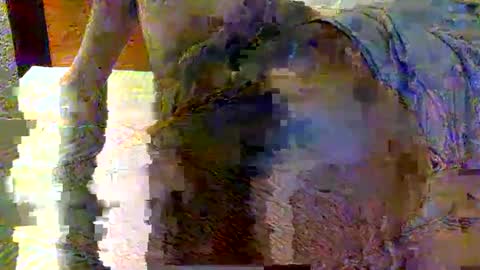 dick online show from January 4, 5:47 pm