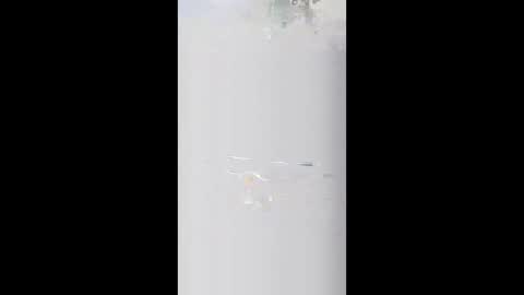 seedinbush360 online show from January 7, 5:56 am