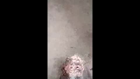 ser_sterchy_pants online show from March 4, 5:14 am