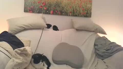 Sexurbation online show from March 2, 10:28 pm