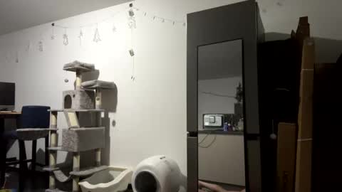 sexy53 online show from January 7, 7:01 am