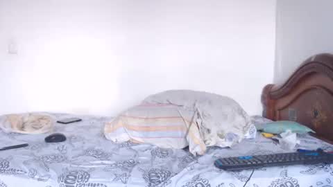 Mike online show from March 4, 5:13 pm