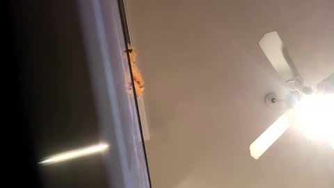 Snapshot of sexyyphilip chatting on January 11, 4:59 am sexyyphilip online show from January 11, 4:59 am