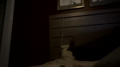 Snapshot of shaneconn1509 chatting on February 9, 10:43 pm ShaneConn online show from February 9, 10:43 pm