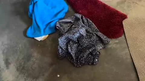 sinfull2022 online show from December 3, 5:30 pm