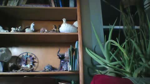 sirlicksaclit online show from January 14, 3:01 am