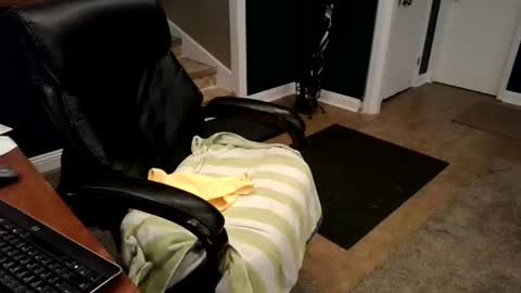 sissyexposed69 online show from July 1, 1:17 am