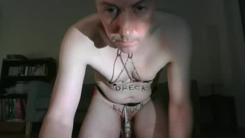 slave_dzh online show from November 15, 4:09 pm