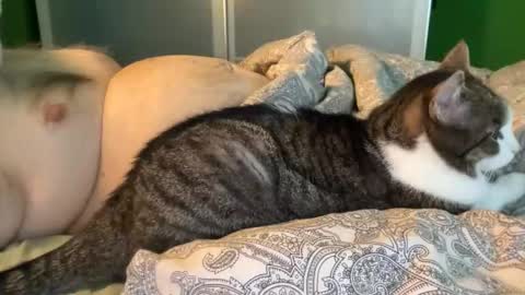 slice5 online show from April 30, 5:25 am