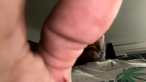 Abuse me online show from February 12, 2:56 pm