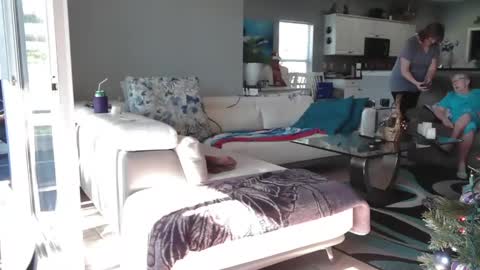 Daddy online show from December 20, 4:03 pm