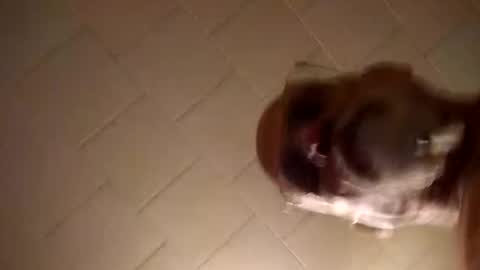 Smithology online show from December 19, 1:18 am