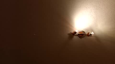 Smokeandwatching online show from April 27, 9:31 pm