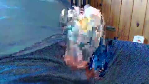 sn0man69 online show from December 13, 6:49 pm