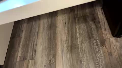 snap2509 online show from April 17, 6:10 pm